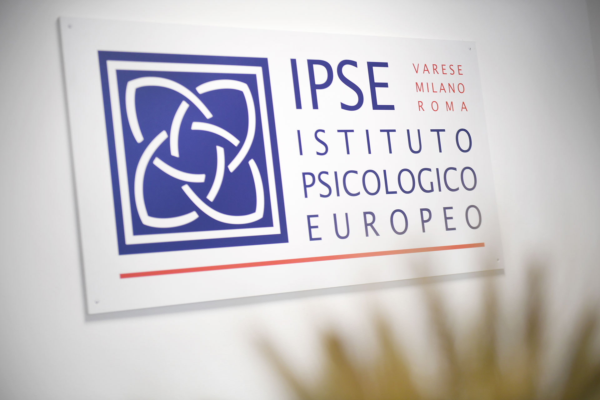 IPSE Srl Istituto psicologico Europeo